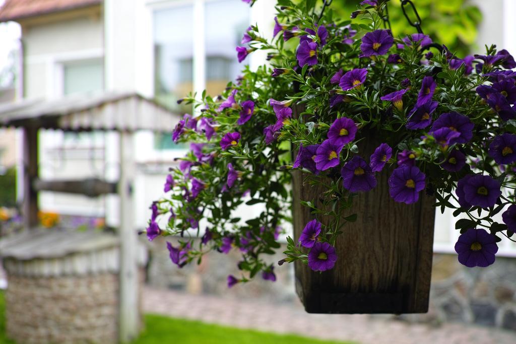 Adomo Rojus Apartment Паланга Екстериор снимка